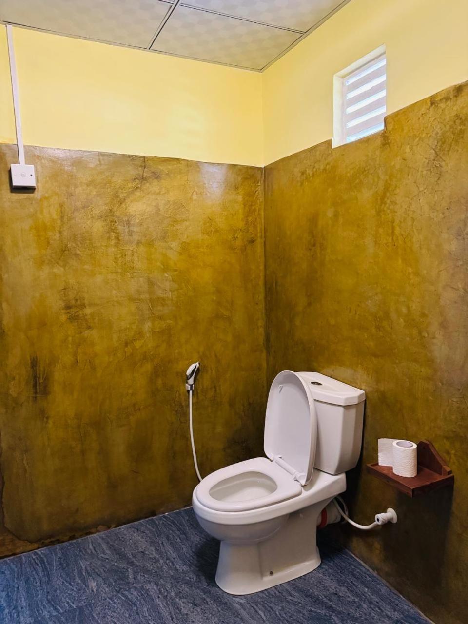 Sigiri Siesta Homestay シギリヤ エクステリア 写真